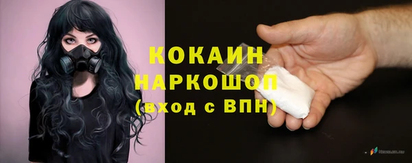 spice Алзамай