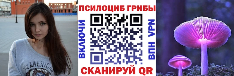 Псилоцибиновые грибы мицелий  Тында 