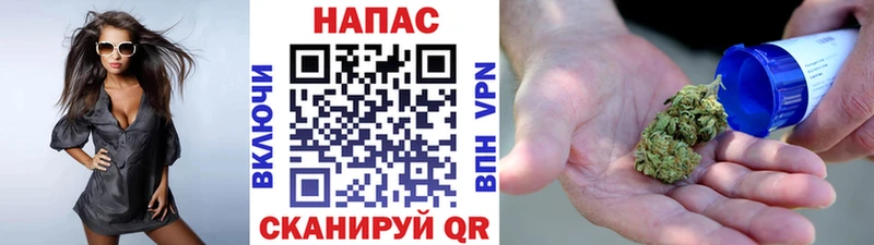 где найти   Тында  Бошки Шишки семена 